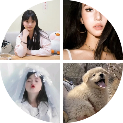 西部计划交流群4 群聊头像
