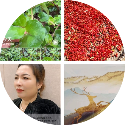 山货药材收购群 群聊头像