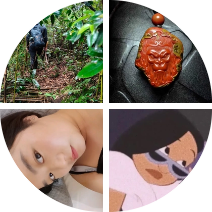 杭州捡蘑菇大队88 群聊头像