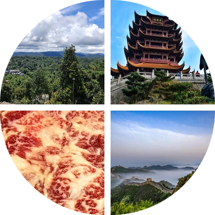 茶友俱乐部 群聊头像