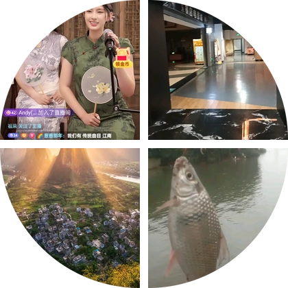 陆良钓鱼 群聊头像
