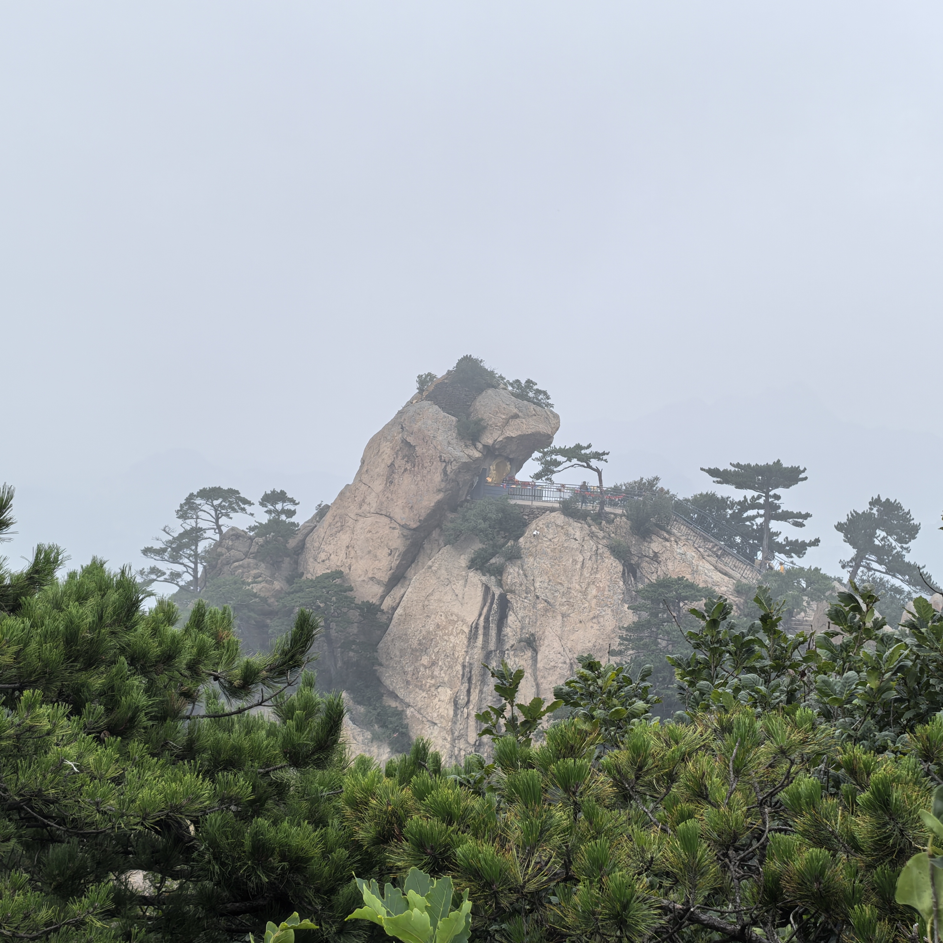 鞍山人在北京 群聊头像