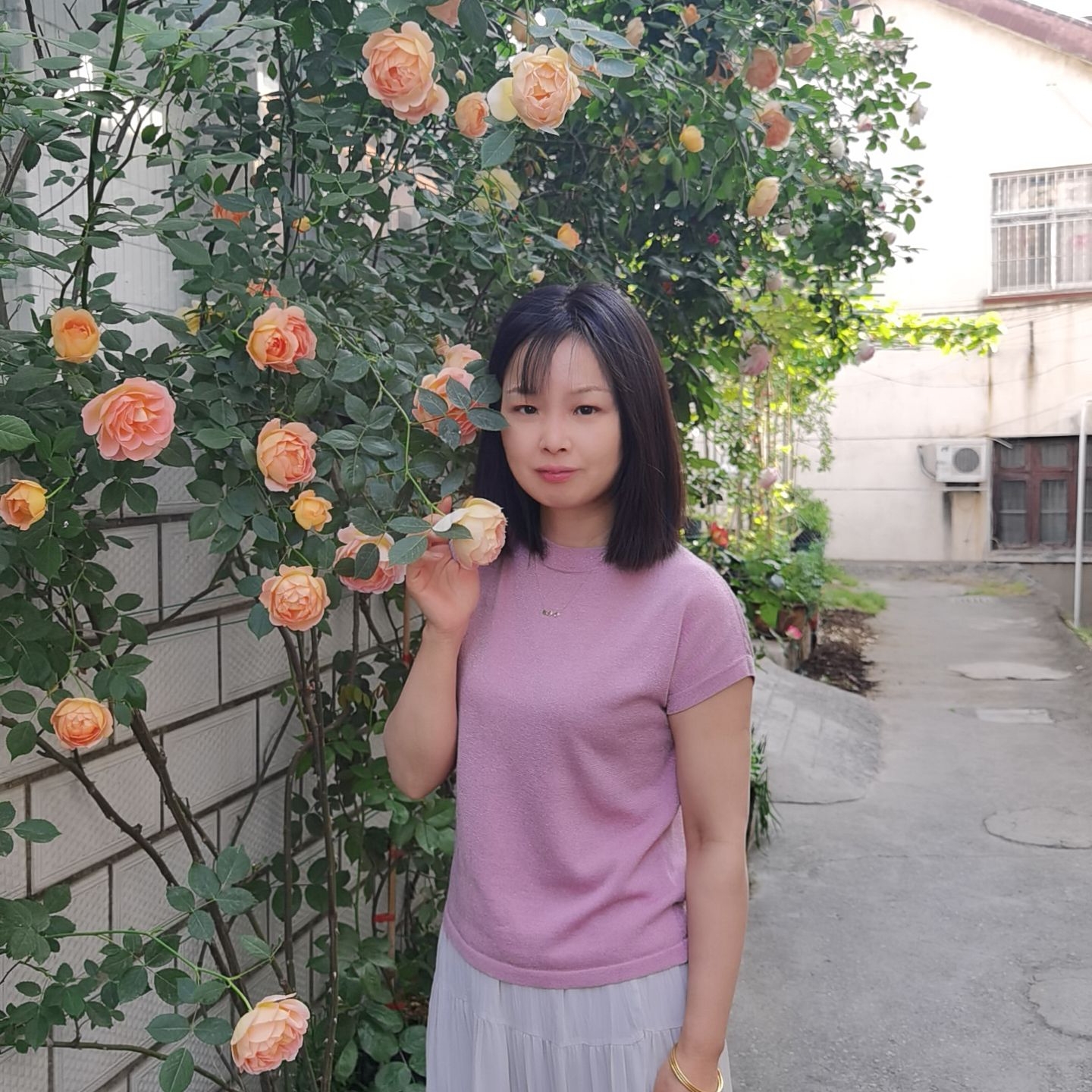 圆叶葡萄种植2 群聊头像