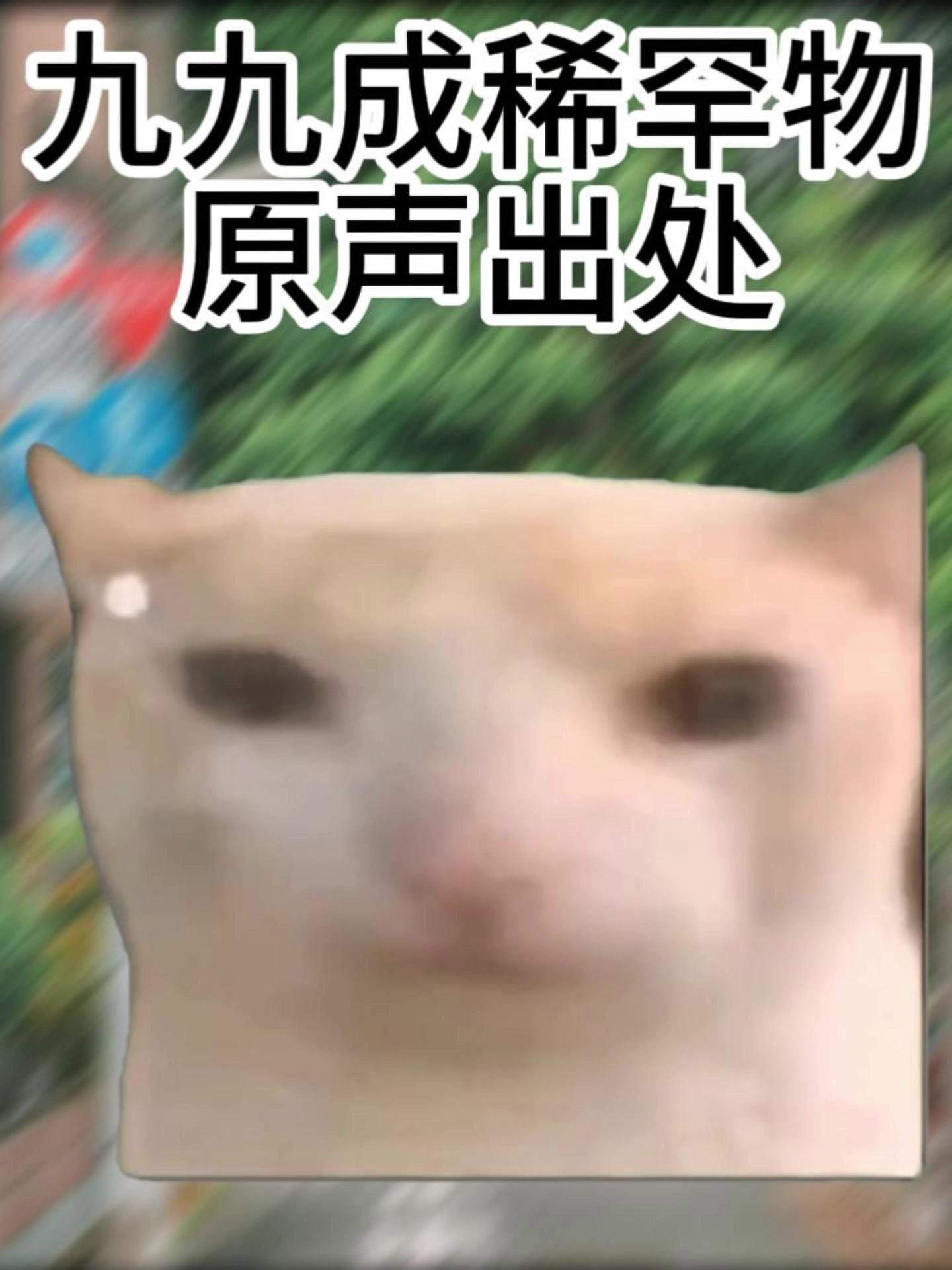 九九成稀罕物啊稀罕物～#猫meme #万万想不到#内容启发搜索#搞笑#猫meme小剧场-2345少年版，绿色安全的青少年上网导航