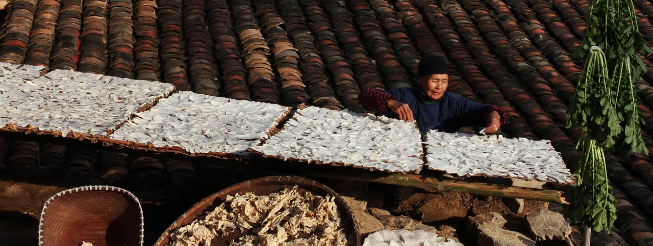 乡村发展(山里dou是好风光)