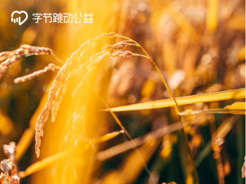 一年时间,我们见证了无数美好丰收