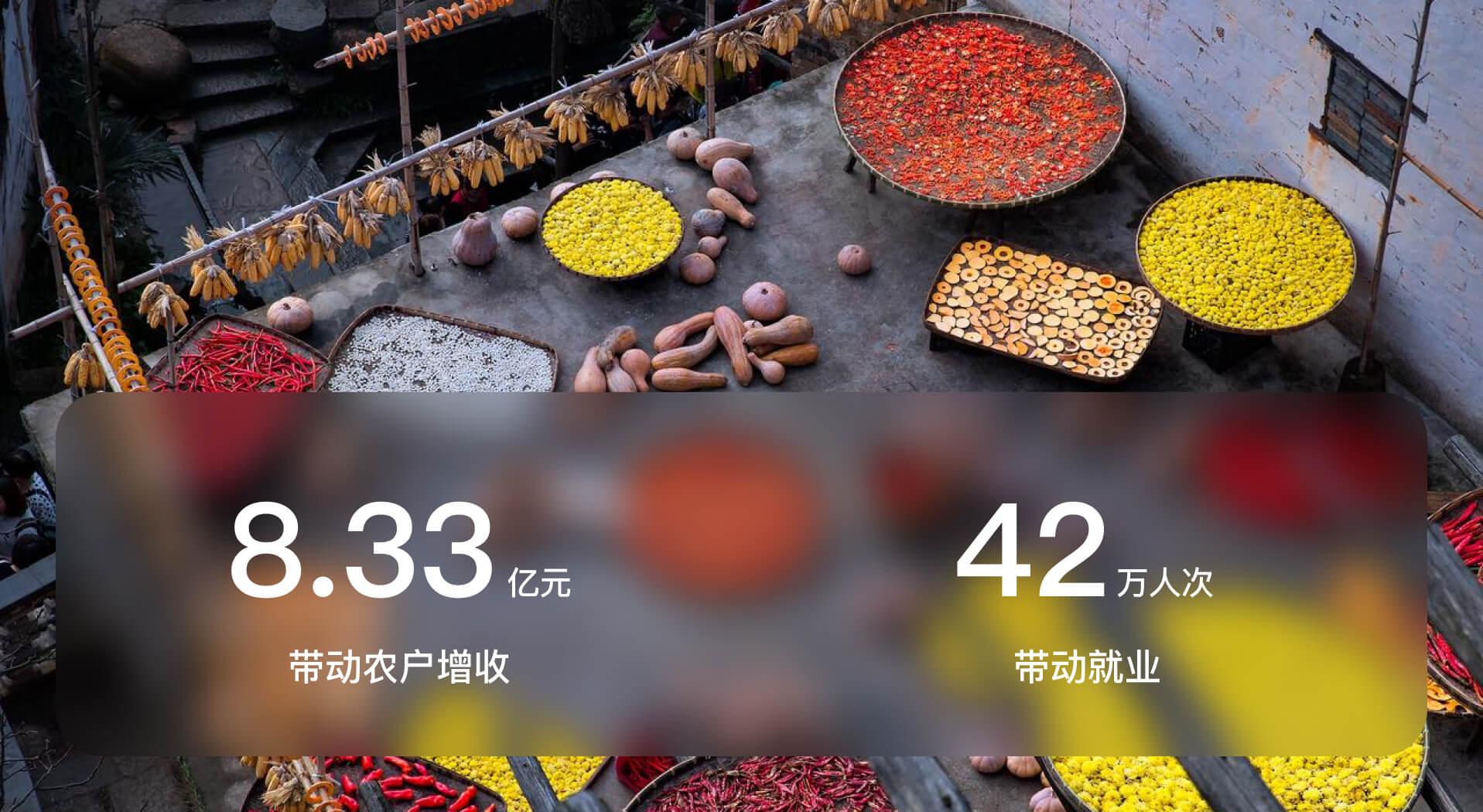 项目成果