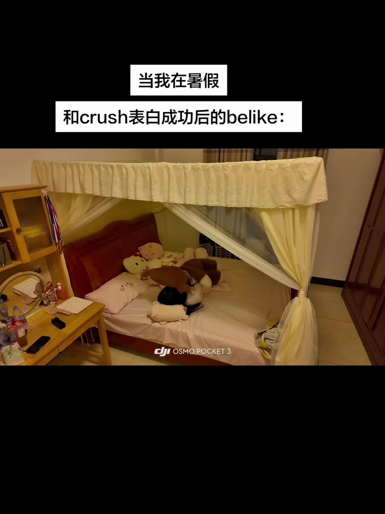 当我在暑假和crush表白成功后