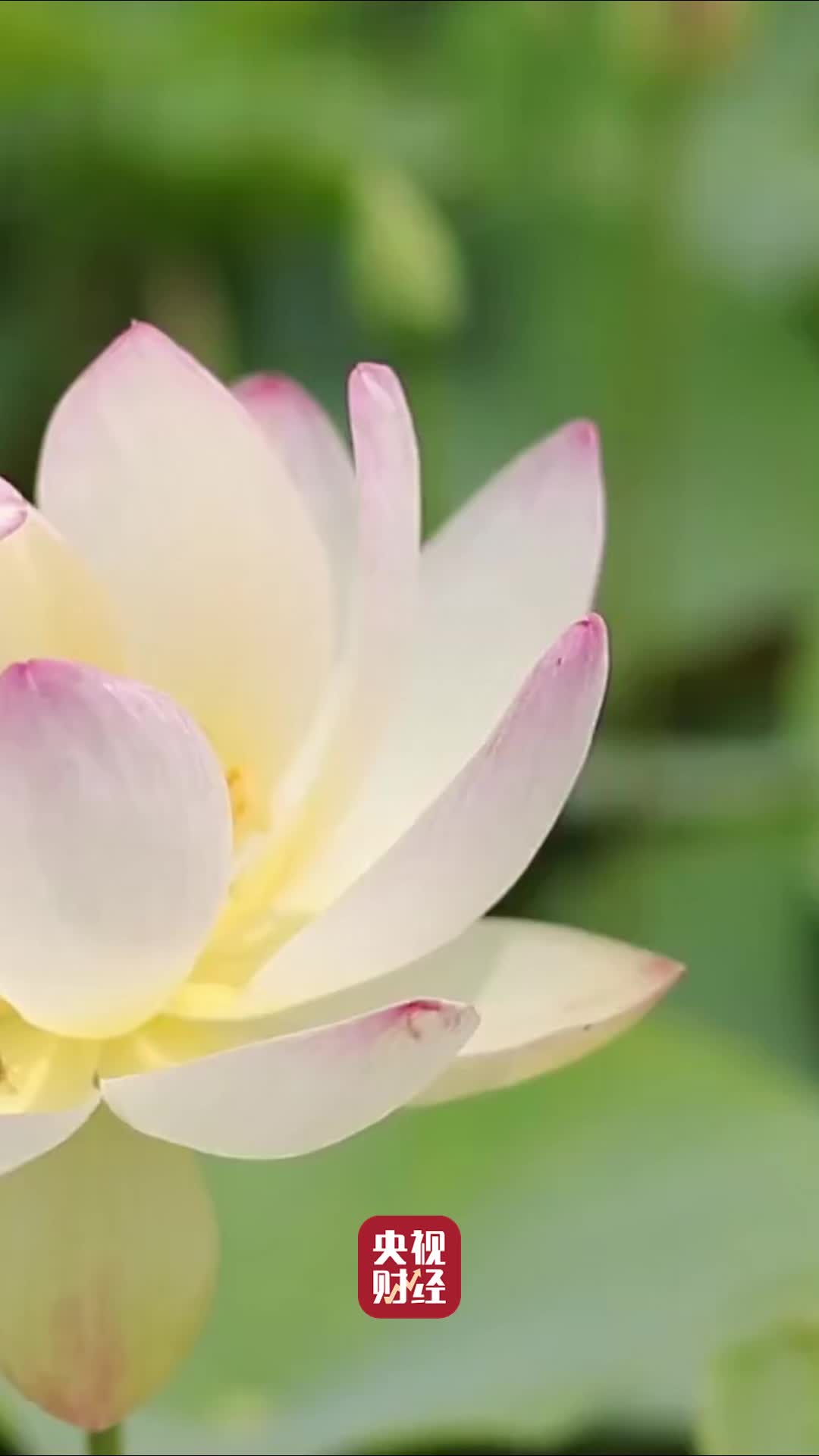 立春吃出仪式感