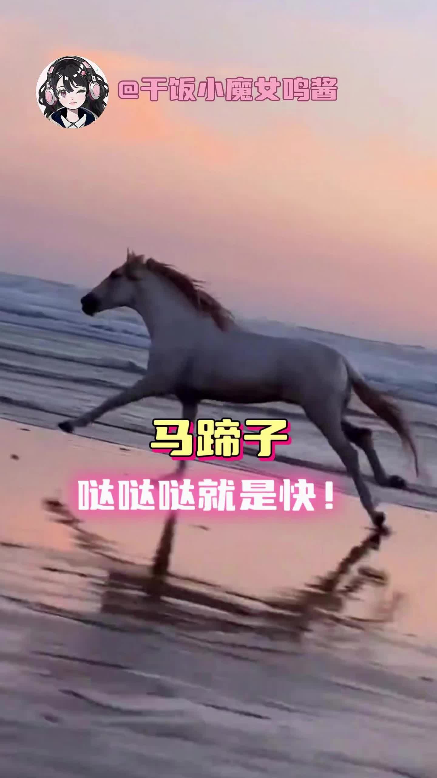 马年就是快啊